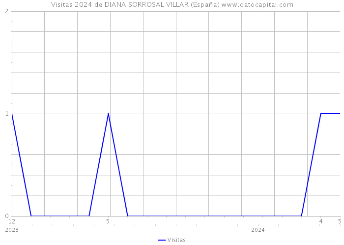 Visitas 2024 de DIANA SORROSAL VILLAR (España) 