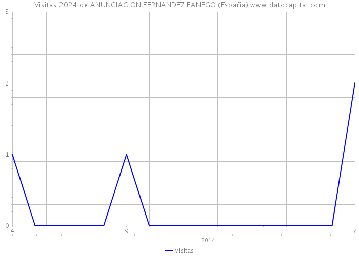 Visitas 2024 de ANUNCIACION FERNANDEZ FANEGO (España) 