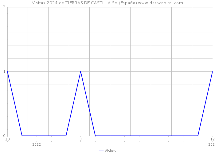 Visitas 2024 de TIERRAS DE CASTILLA SA (España) 
