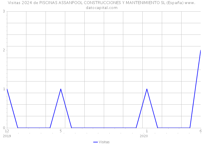 Visitas 2024 de PISCINAS ASSANPOOL CONSTRUCCIONES Y MANTENIMIENTO SL (España) 