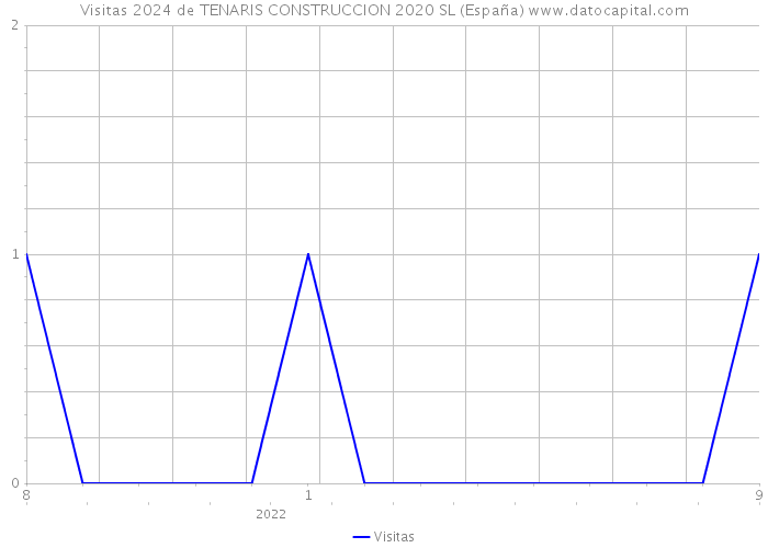 Visitas 2024 de TENARIS CONSTRUCCION 2020 SL (España) 