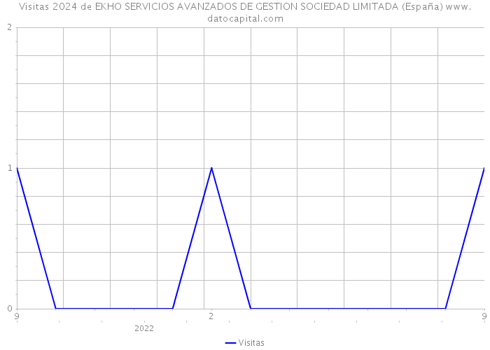 Visitas 2024 de EKHO SERVICIOS AVANZADOS DE GESTION SOCIEDAD LIMITADA (España) 