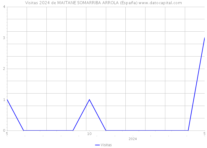 Visitas 2024 de MAITANE SOMARRIBA ARROLA (España) 