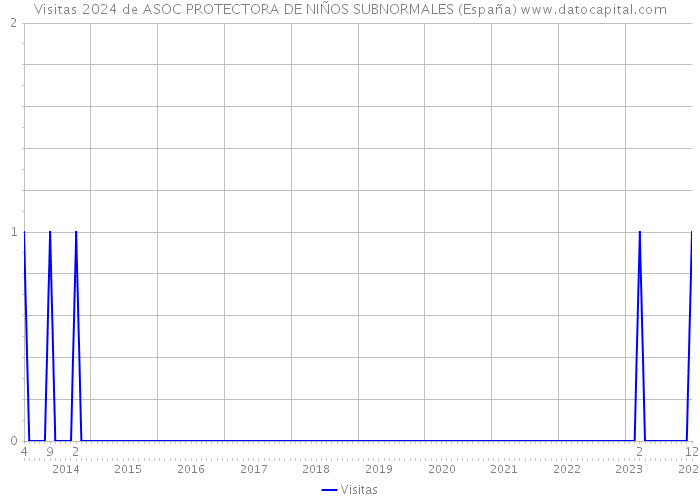 Visitas 2024 de ASOC PROTECTORA DE NIÑOS SUBNORMALES (España) 