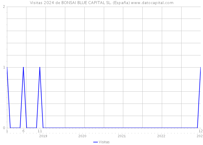 Visitas 2024 de BONSAI BLUE CAPITAL SL. (España) 