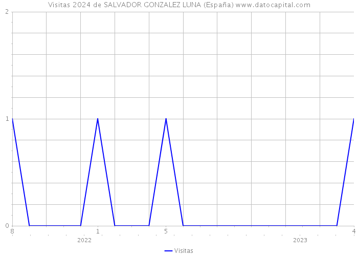 Visitas 2024 de SALVADOR GONZALEZ LUNA (España) 