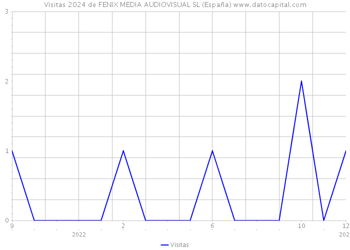 Visitas 2024 de FENIX MEDIA AUDIOVISUAL SL (España) 