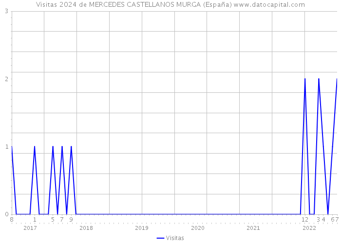 Visitas 2024 de MERCEDES CASTELLANOS MURGA (España) 