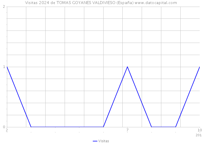 Visitas 2024 de TOMAS GOYANES VALDIVIESO (España) 