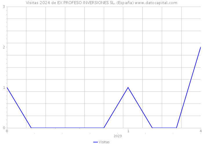 Visitas 2024 de EX PROFESO INVERSIONES SL. (España) 