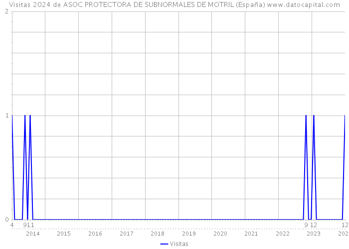 Visitas 2024 de ASOC PROTECTORA DE SUBNORMALES DE MOTRIL (España) 