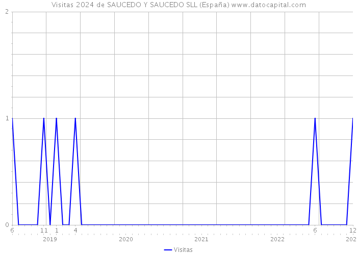 Visitas 2024 de SAUCEDO Y SAUCEDO SLL (España) 