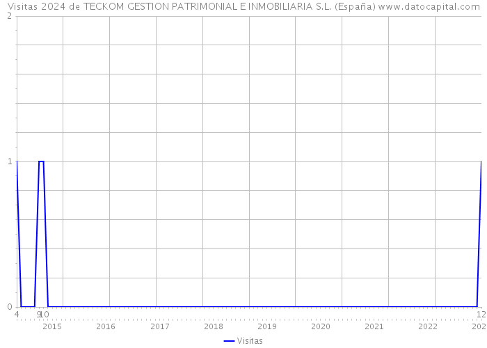 Visitas 2024 de TECKOM GESTION PATRIMONIAL E INMOBILIARIA S.L. (España) 