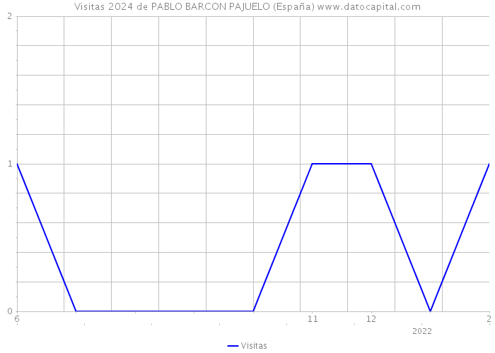 Visitas 2024 de PABLO BARCON PAJUELO (España) 