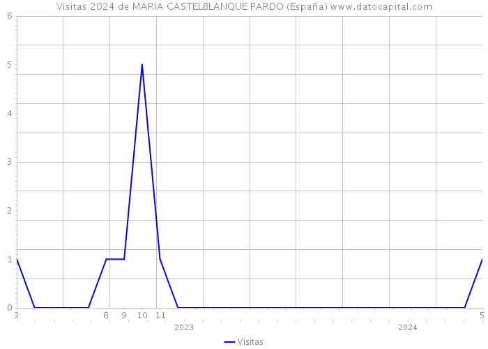 Visitas 2024 de MARIA CASTELBLANQUE PARDO (España) 