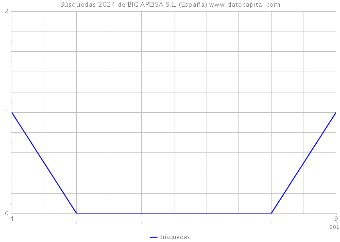 Búsquedas 2024 de BIG APEISA S.L. (España) 