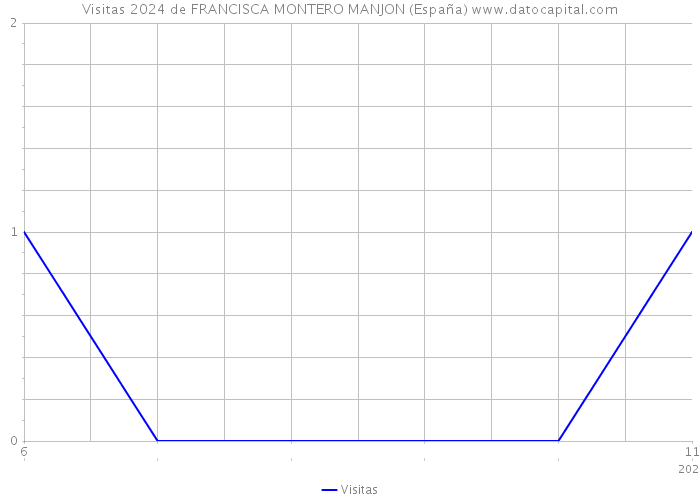Visitas 2024 de FRANCISCA MONTERO MANJON (España) 