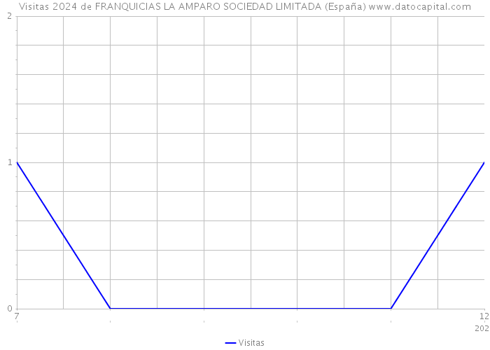 Visitas 2024 de FRANQUICIAS LA AMPARO SOCIEDAD LIMITADA (España) 