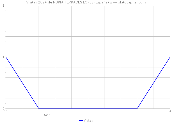Visitas 2024 de NURIA TERRADES LOPEZ (España) 