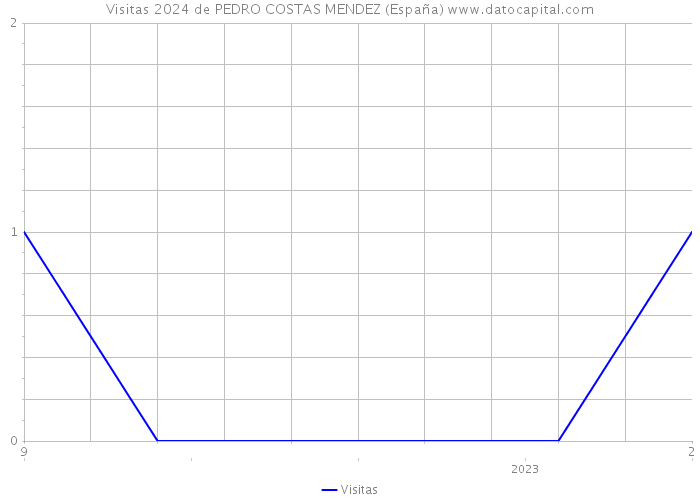 Visitas 2024 de PEDRO COSTAS MENDEZ (España) 