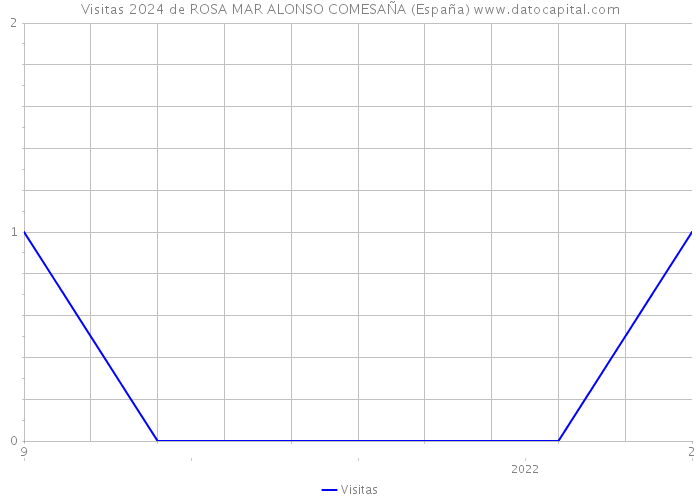 Visitas 2024 de ROSA MAR ALONSO COMESAÑA (España) 