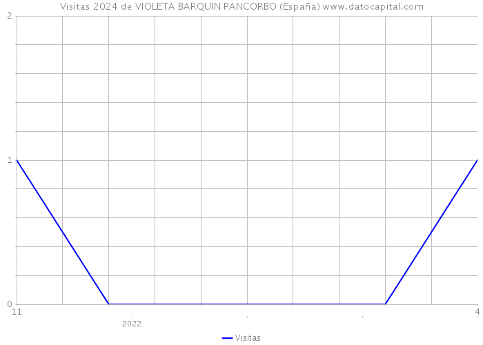 Visitas 2024 de VIOLETA BARQUIN PANCORBO (España) 