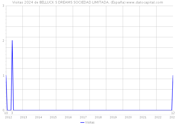 Visitas 2024 de BELLUCK S DREAMS SOCIEDAD LIMITADA. (España) 