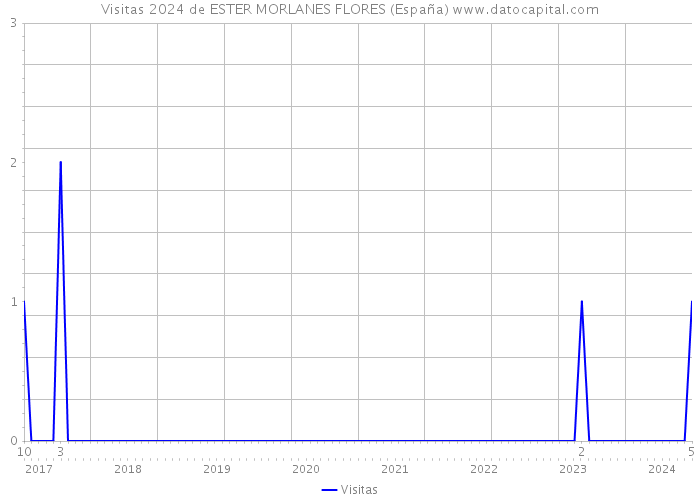 Visitas 2024 de ESTER MORLANES FLORES (España) 