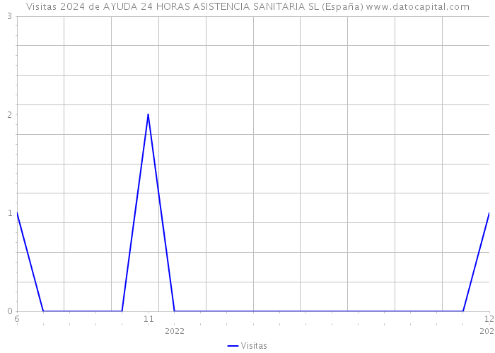Visitas 2024 de AYUDA 24 HORAS ASISTENCIA SANITARIA SL (España) 