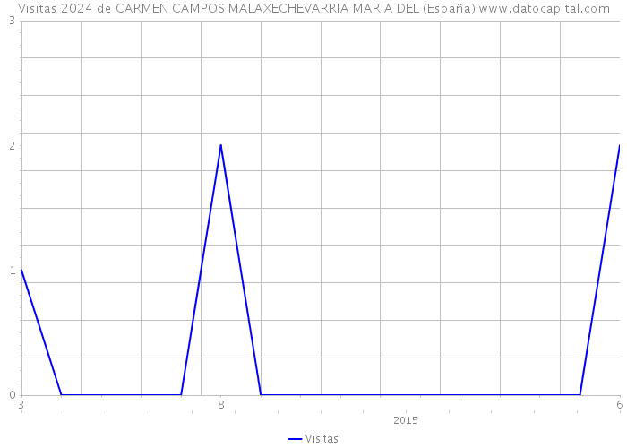Visitas 2024 de CARMEN CAMPOS MALAXECHEVARRIA MARIA DEL (España) 