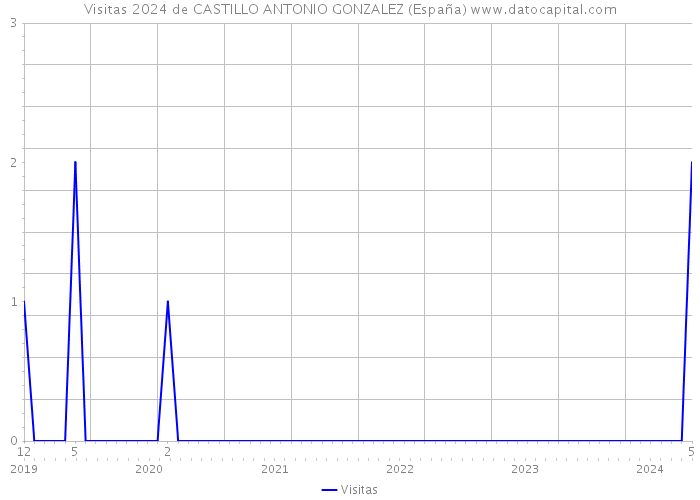 Visitas 2024 de CASTILLO ANTONIO GONZALEZ (España) 