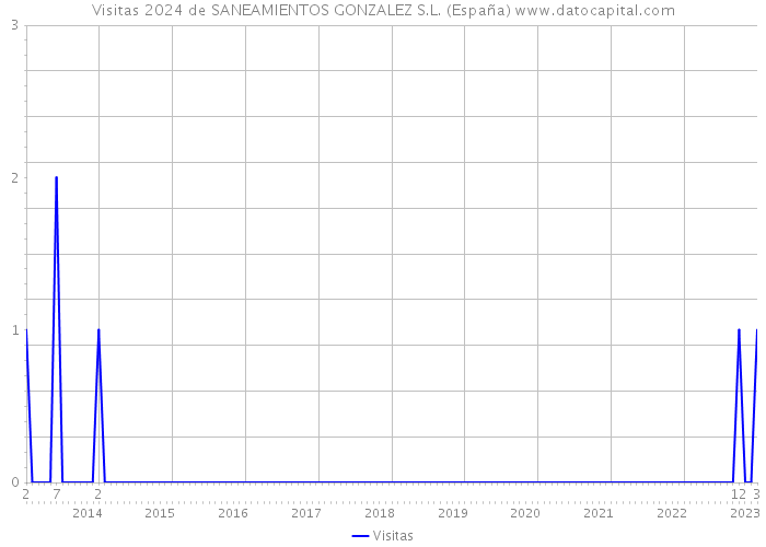 Visitas 2024 de SANEAMIENTOS GONZALEZ S.L. (España) 
