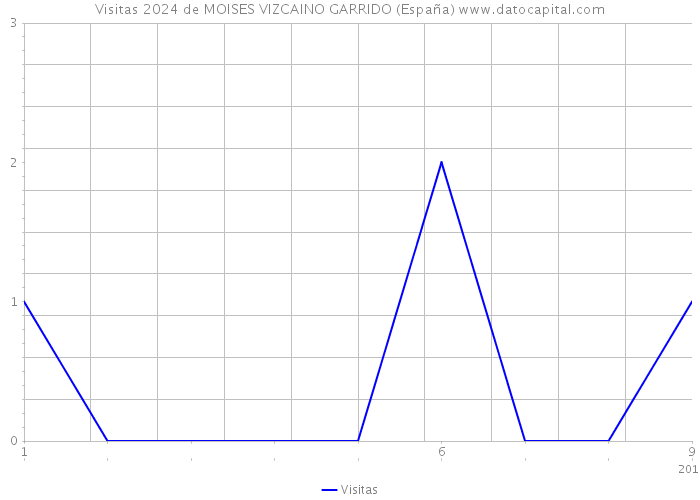 Visitas 2024 de MOISES VIZCAINO GARRIDO (España) 