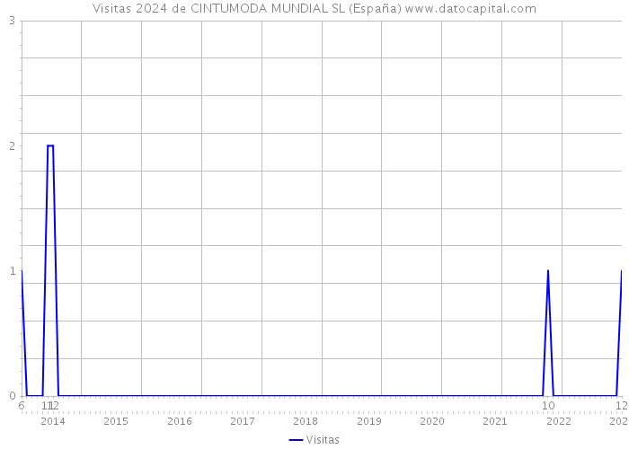Visitas 2024 de CINTUMODA MUNDIAL SL (España) 