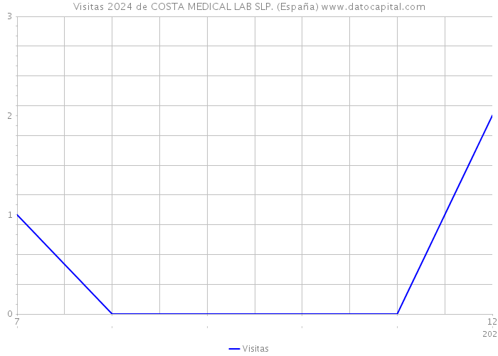 Visitas 2024 de COSTA MEDICAL LAB SLP. (España) 