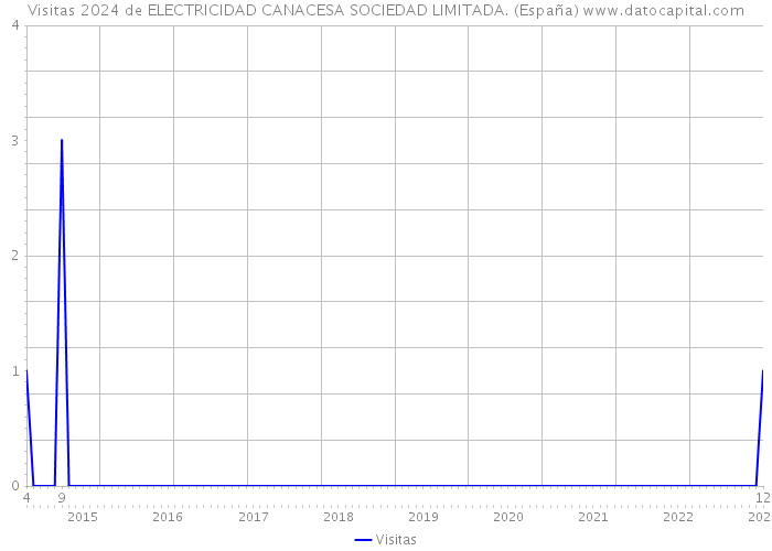 Visitas 2024 de ELECTRICIDAD CANACESA SOCIEDAD LIMITADA. (España) 