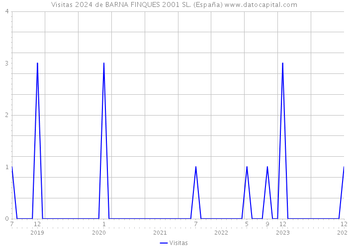 Visitas 2024 de BARNA FINQUES 2001 SL. (España) 