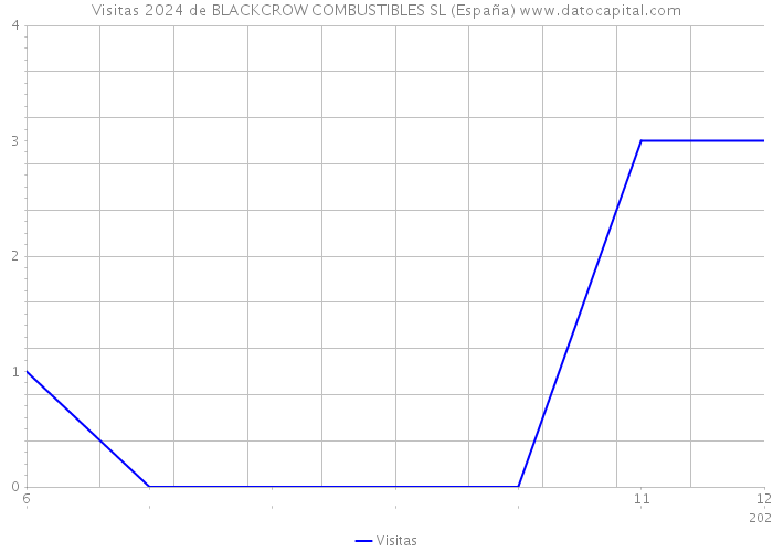 Visitas 2024 de BLACKCROW COMBUSTIBLES SL (España) 