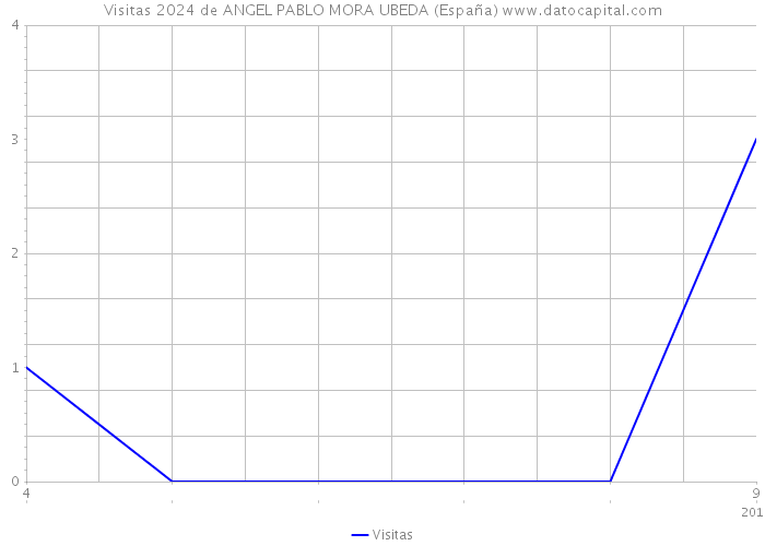 Visitas 2024 de ANGEL PABLO MORA UBEDA (España) 