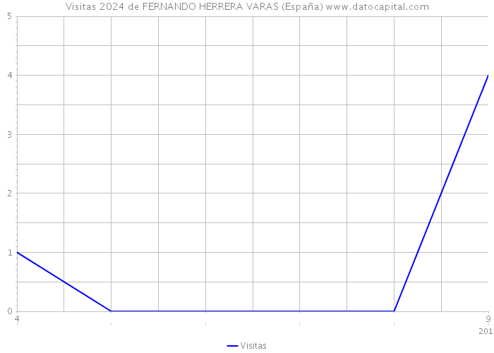 Visitas 2024 de FERNANDO HERRERA VARAS (España) 
