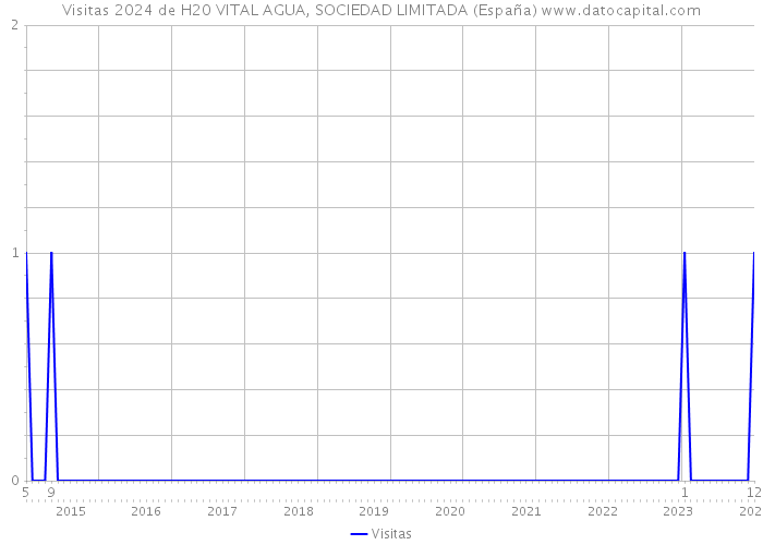 Visitas 2024 de H20 VITAL AGUA, SOCIEDAD LIMITADA (España) 