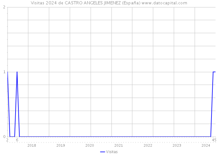 Visitas 2024 de CASTRO ANGELES JIMENEZ (España) 