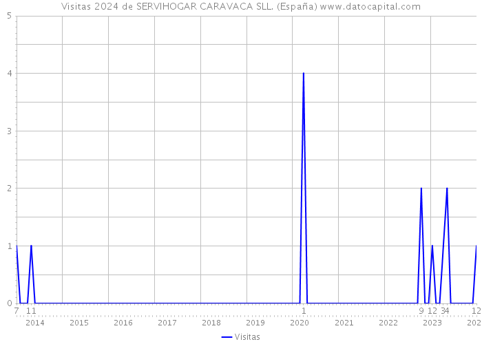 Visitas 2024 de SERVIHOGAR CARAVACA SLL. (España) 