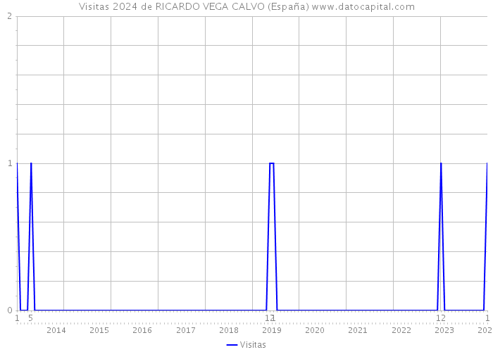 Visitas 2024 de RICARDO VEGA CALVO (España) 