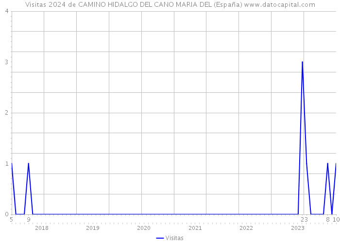 Visitas 2024 de CAMINO HIDALGO DEL CANO MARIA DEL (España) 