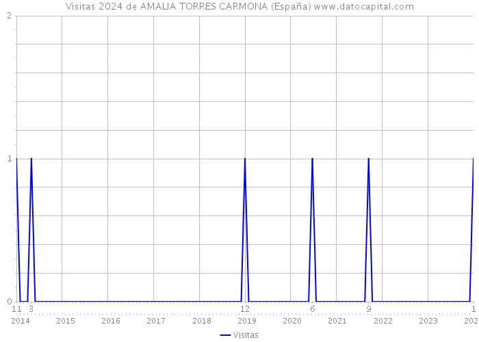 Visitas 2024 de AMALIA TORRES CARMONA (España) 