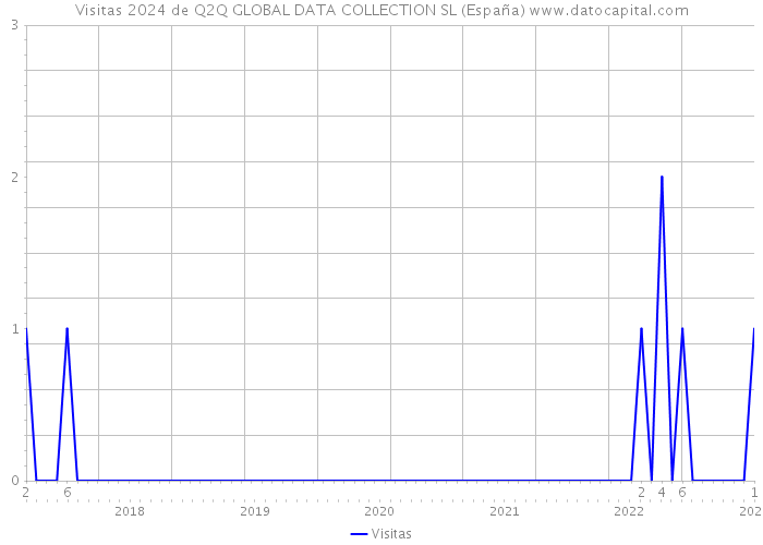 Visitas 2024 de Q2Q GLOBAL DATA COLLECTION SL (España) 
