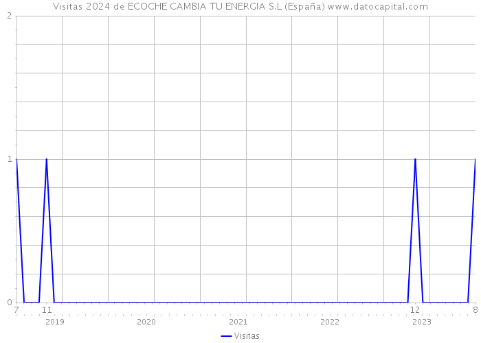 Visitas 2024 de ECOCHE CAMBIA TU ENERGIA S.L (España) 
