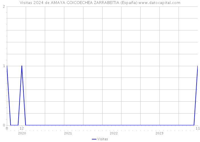 Visitas 2024 de AMAYA GOICOECHEA ZARRABEITIA (España) 