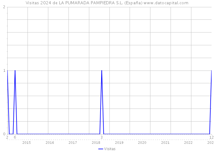 Visitas 2024 de LA PUMARADA PAMPIEDRA S.L. (España) 